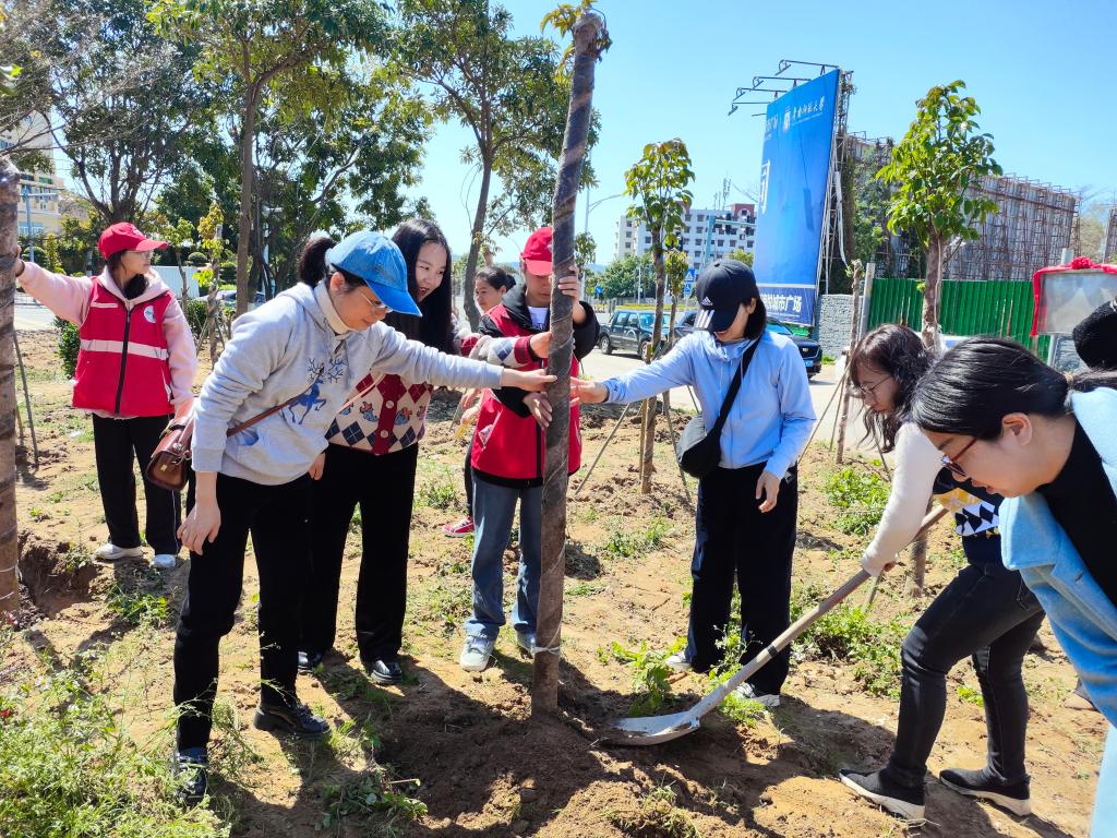 TIMI��ϣ��Ϸ